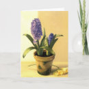 Search for hyacinth cards Nature