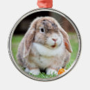 Search for lop rabbit christmas tree decorations Pets