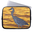 Search for florida laptop cases Sunset