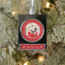 Search for banner christmas tree decorations Pet