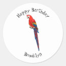 Search for parrot cartoon stickers Bird