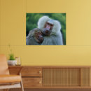 Search for bonding posters Affection
