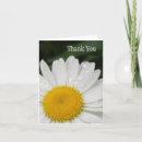 Search for interview cards Floral