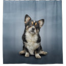 Search for corgi shower curtains Cartoon