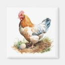 Search for primitive magnets Cute