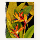 Search for birds notebooks Bird of paradise