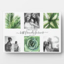 Search for forever photography Collage