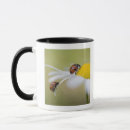 Search for hokkaido mugs Outdoors