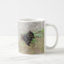 Search for black squirrel mugs Wildlife