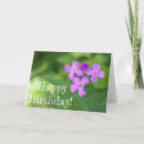 Search for purple birthday cards Flowers