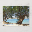 Search for crete Ocean