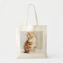 Search for studio shot bags Horizontal