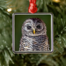 Search for reserves christmas tree decorations Wildlife