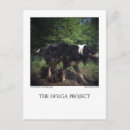 Search for viii postcards Animals