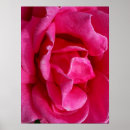 Search for gentleness posters Pink