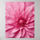 Search for rose colored art Colorful