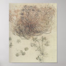 Search for botanical study posters Plants