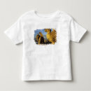 Search for cathedrals clothing Notre dame