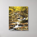 Search for creek canvas prints Fall