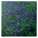 Search for photo frame tiles Vertical