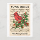 Search for vintage bird illustration postcards Cardinal