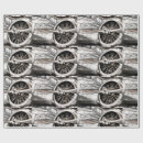 Search for pilot wrapping paper Transportation