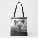 Search for siamese bags Pet
