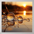 Search for calm waters posters Sunset