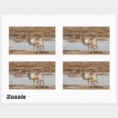 Search for reindeer stickers Animal