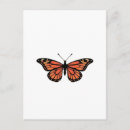 Search for black wings postcards Nature