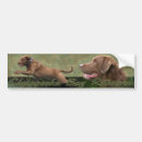 Search for bay bumper stickers Retriever