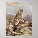 Search for leopard animal posters Retro