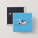 Search for plane badges Aviation