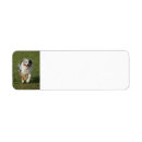 Search for running return address labels Dog