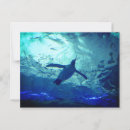 Search for penguin stamp postcards Blue