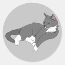 Search for tuxedo cats stickers Grey