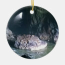 Search for sea lion christmas tree decorations Ocean
