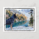 Search for conservation postcards Save the planet