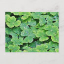 Search for dew drops postcards Earth