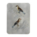 Search for silver rectangular magnets Bird