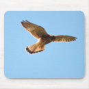 Search for hawk mousepads Nature