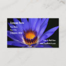 Search for water lily business cards Floral