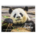 Search for panda calendars Cute