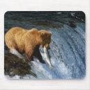 Search for salmon mousepads Nature