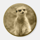 Search for coin magnets Currency