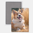Search for pet photo magnets Baby