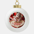 Search for hairless cat Cute