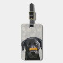 Search for bones travel accessories Antique