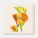 Search for callas magnets Colourful