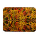 Search for pond reflection magnets New hampshire